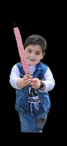 کبابی در بناب