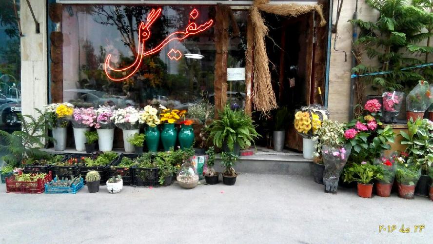 تمامی خدمات گل آرایی در تبریز