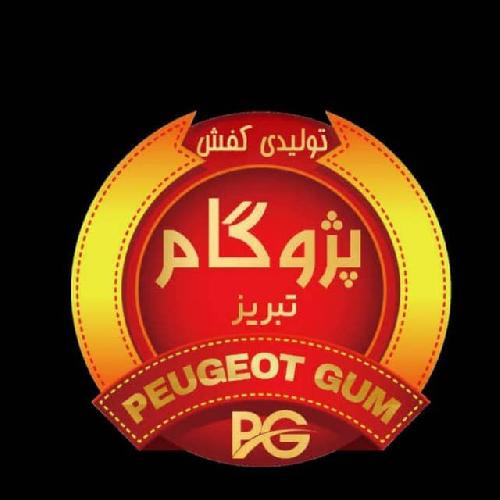 تولیدی کفش پژوگام  در تبریز