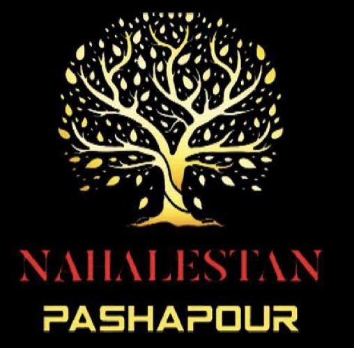 نهالستان برتر پاشاپور در تبریز