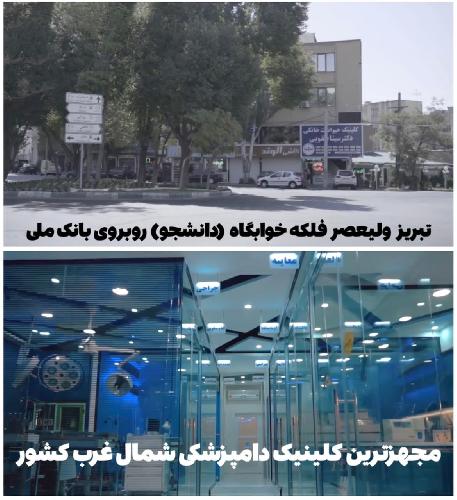 کلینیک حیوانات خانگی کلینیک دامپزشکی تبریز در تبریز