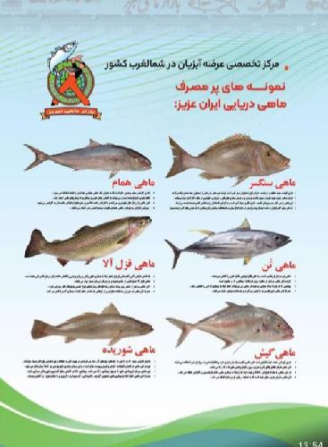 عرضه ماهی (آبزیان) در تبریز