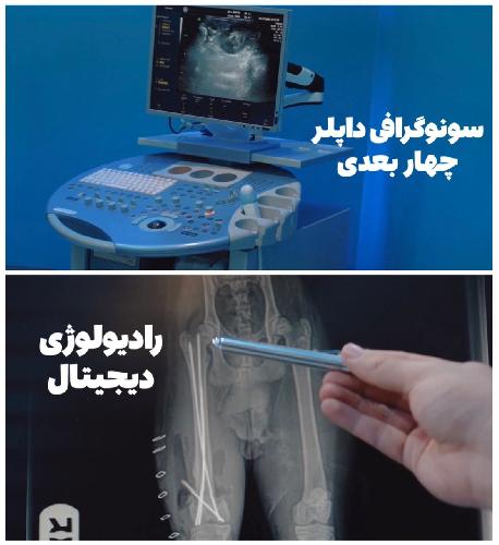 کلینیک حیوانات خانگی کلینیک دامپزشکی تبریز در تبریز