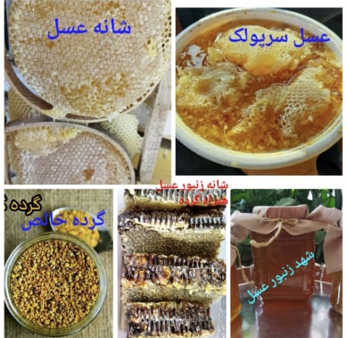 پرورش زنبورعسل - فروش عسل طبیعی و محصولات زنبور عسل در تبریز