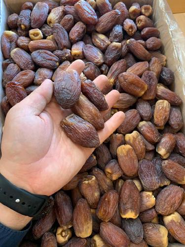 پخش انواع خرما  در تبریز