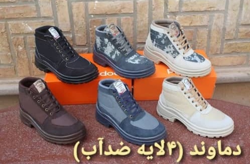 تولیدی کفش در تبریز