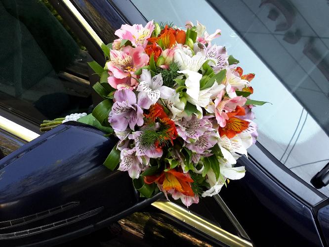 فروش انواع گل  در تبریز