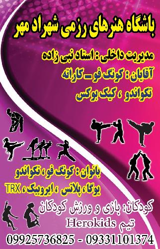 آموزش هنر های رزمی در تبریز