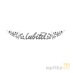 عکاسی و تصویربرداری در تبریز