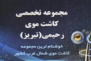 کاشت مو ، لیزر ، جراحی های پوست در تبریز