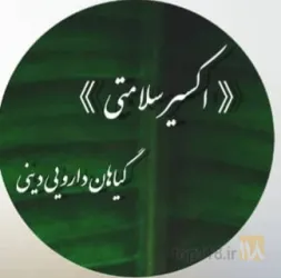 طب سنتی در تهران