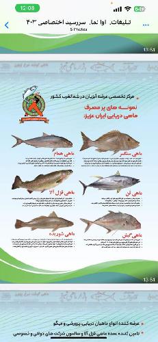 عرضه ماهی (آبزیان) در تبریز