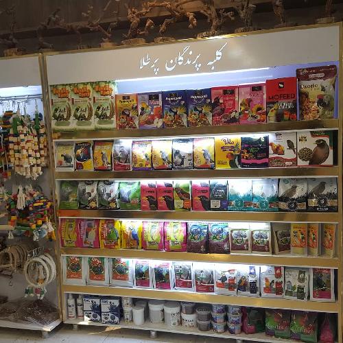 کلبه پرندگان پر طلا در تبریز پرندگان زینتی در تبریز