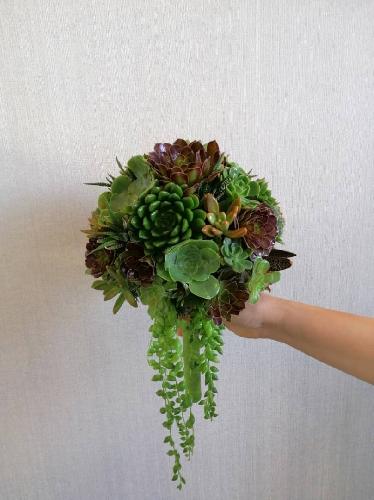 گل نفیس flower nafis در تبریز گلفروشی در تبریز