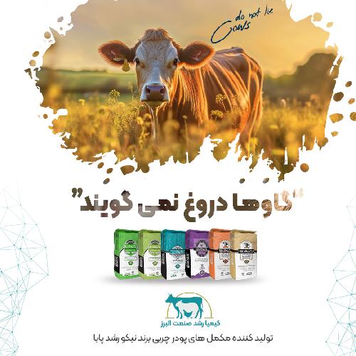 تولید کننده مکمل‌های پودر چربی خوراک دام و طیور در نظرآباد