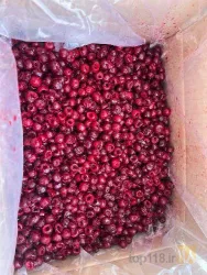 نمونه کار خزر میوه ارم در ساری - 9