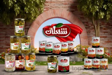 نمونه کار صنایع غذایی شهلان  در  - 9