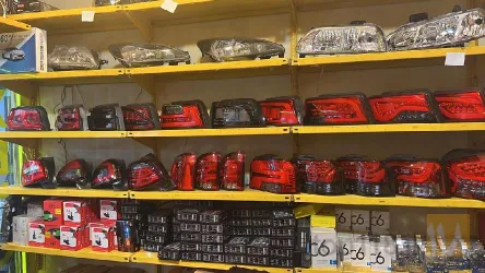نمونه کار سان اسپرت در تبریز - 9