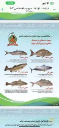 نمونه کار بازار ماهی تبریز در تبریز - 9