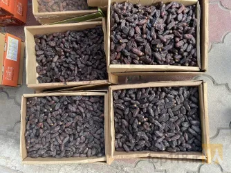نمونه کار خرمای تک نفره مروارید سیاه حامد در تبریز - 9