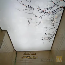 نمونه کار آسمان مجازی اسپرلوس  در تبریز - 9
