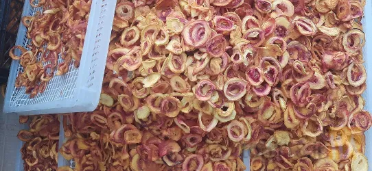 نمونه کار چیپس میوه آفرین  در صوفیان - 8