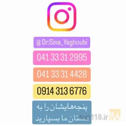 نمونه کار کلینیک حیوانات خانگی دکتر سینا یعقوبی  در تبریز - 9