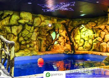 نمونه کار استخر دلفین سفید در تبریز - 9