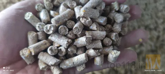 نمونه کار شرکت تعاونی خوراک دام و طیور تاکدانه در بروجرد - 9