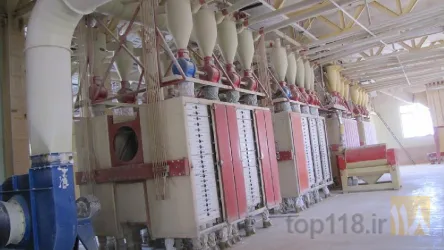 نمونه کار آرد نگین گل شرق در گناباد - 9