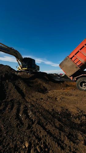 خاک پوششی قارچ، تولید کمپوست گیاهی در بندر انزلی