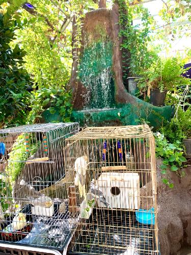 آبگوشت و تاواکبابی در تبریز