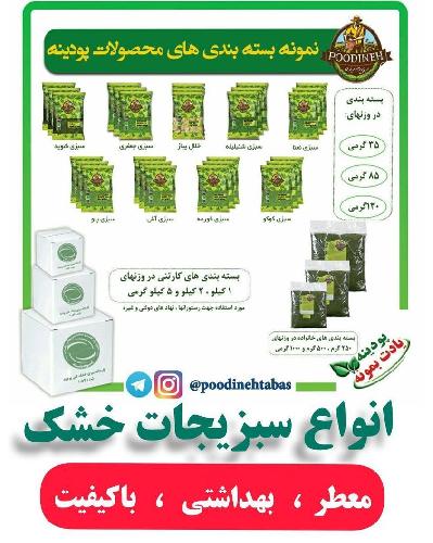 کارخانه سبزی خشک کنی پودینه طبس در طبس محصولات غذایی در طبس