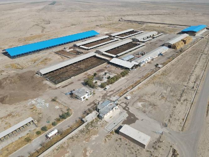  بذر و نهال : صادرات و واردات در قائنات