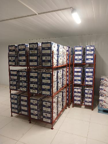  لبنیات و انواع خامه قنادی : تولید و توزیع در مریوان