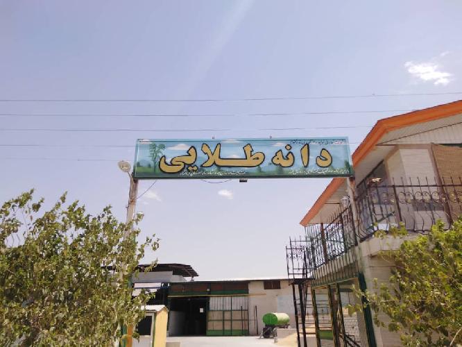 محصولات کشاورزی و دامی در کرمانشاه