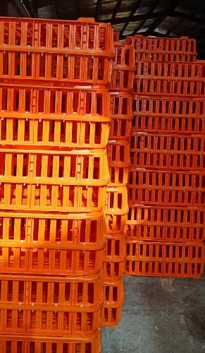 پاکت و جعبه  - تولید و یا پخش در یزد