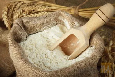نمونه کار تولید کننده آرد جو ری اون در ری - 1