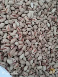 نمونه کار ترمینال ضبط پسته در مه ولات - 1