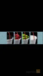 نمونه کار شرکت هونام شورین طلایی - صنایع پلیمری نسیم در تبریز - 1