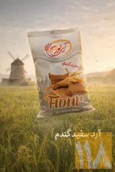 نمونه کار صنایع غذایی آی نور در بیلوردی - 1