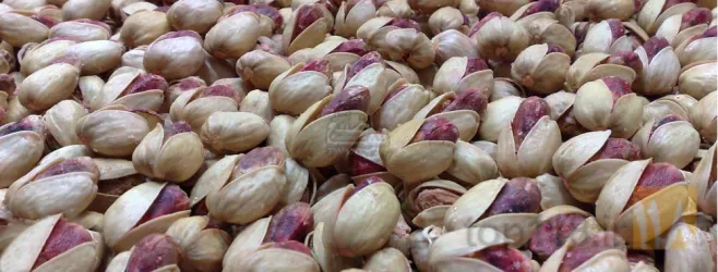 نمونه کار آجیلی تواضع شهناز  در تبریز - 1
