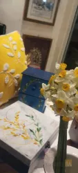 نمونه کار پوشاک اسب سپید در تهران - 1