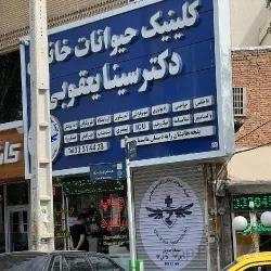 نمونه کار کلینیک حیوانات خانگی دکتر سینا یعقوبی  در تبریز - 1