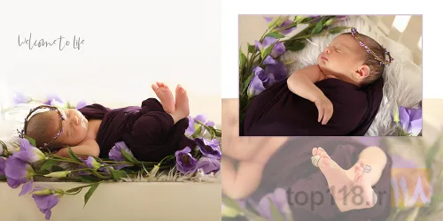 نمونه کار آتلیه لوبیتل در تبریز - 1
