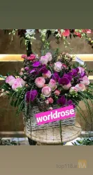 نمونه کار گلفروشی دنیای رز (world of ros) در تبریز - 1