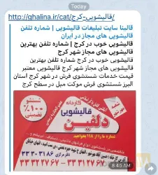 نمونه کار کارخانه قالیشویی و مبل‌شویی دلفین در کرج - 1
