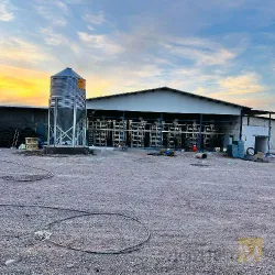 نمونه کار مرغ تخمگذار هدایتی در اردستان - 1