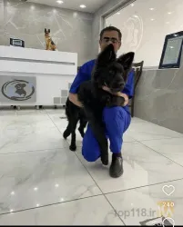 نمونه کار کلینیک دامپزشکی دام طب	 در اصفهان - 1