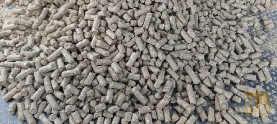 نمونه کار شرکت تعاونی خوراک دام و طیور تاکدانه در بروجرد - 1